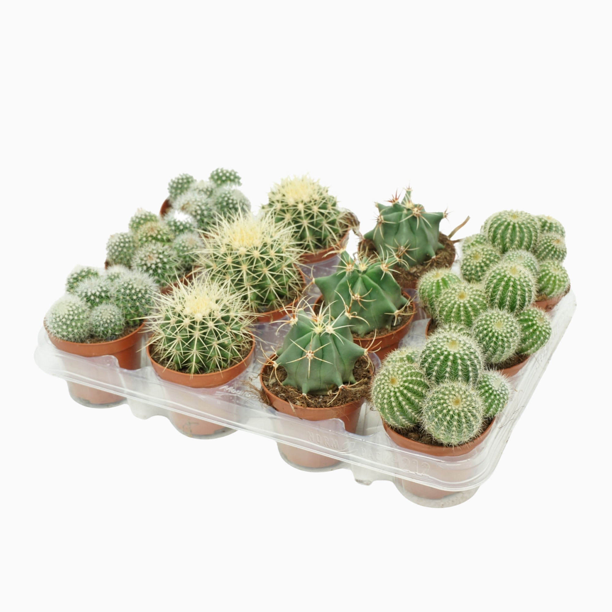 Микс микс 4 соортен Арт: F00001433