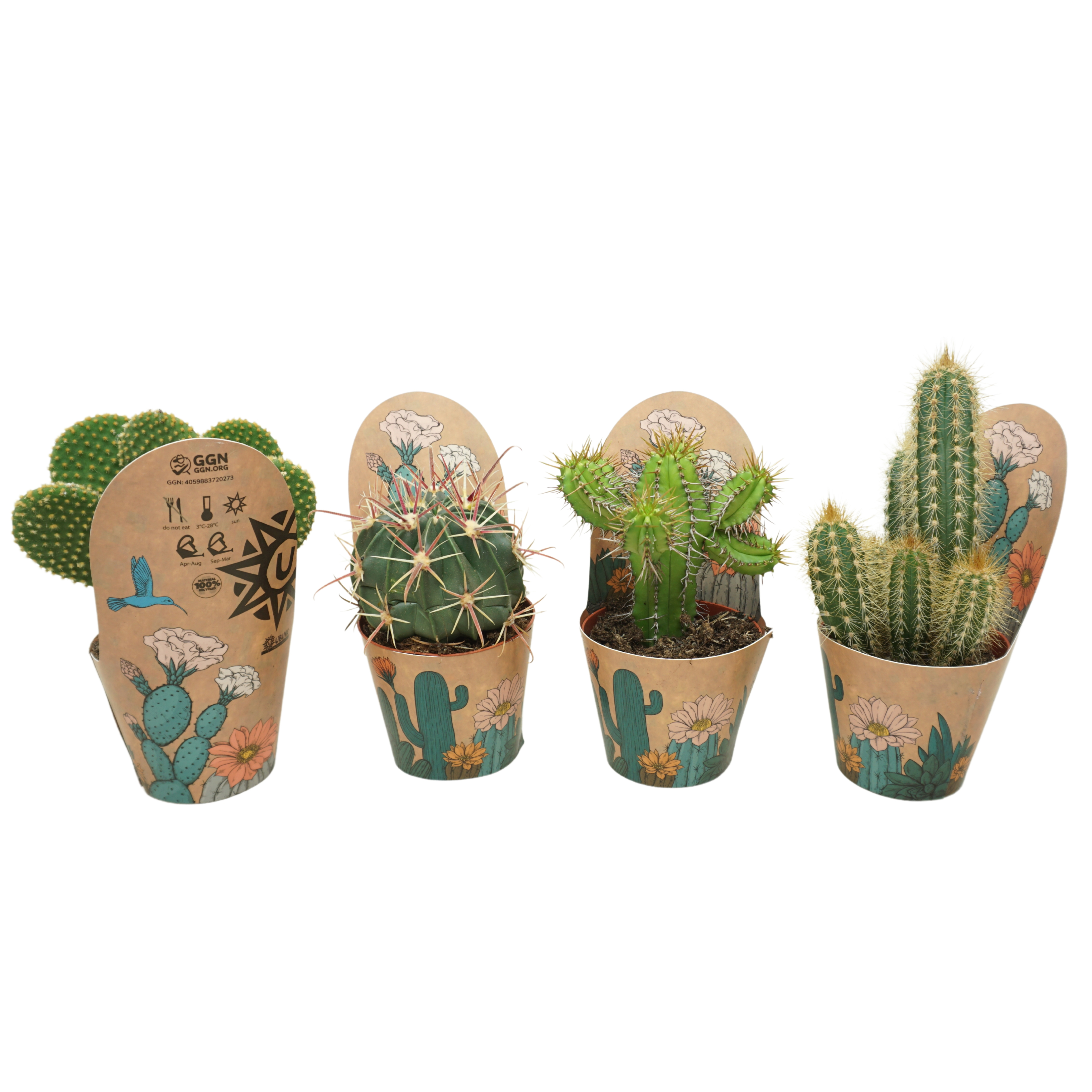 Микс геменгд Арт: F00001452