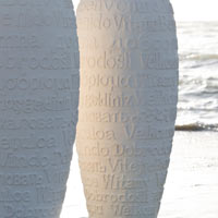 text