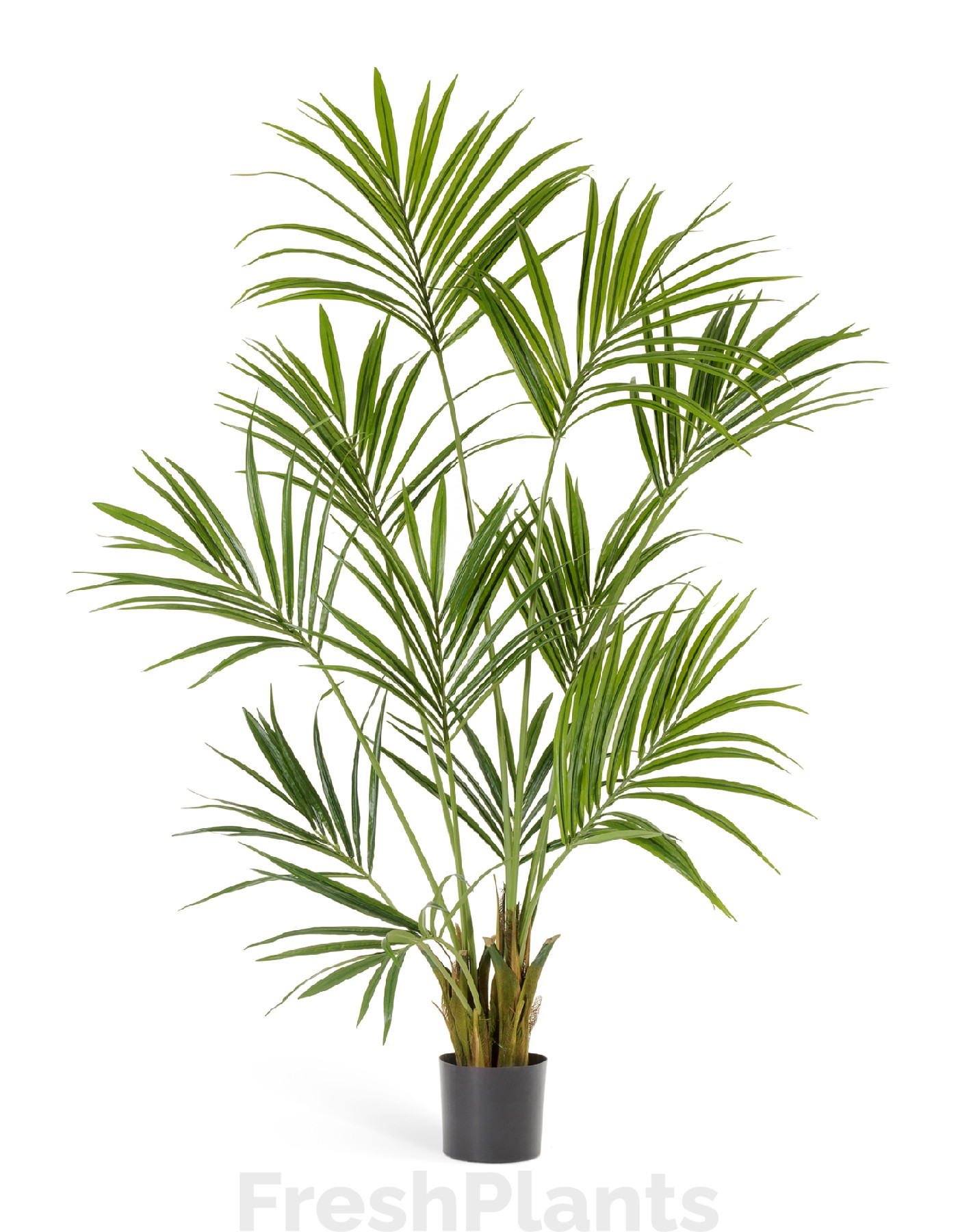 Пальма Кентия (Ховея) искусственная 10.1343N