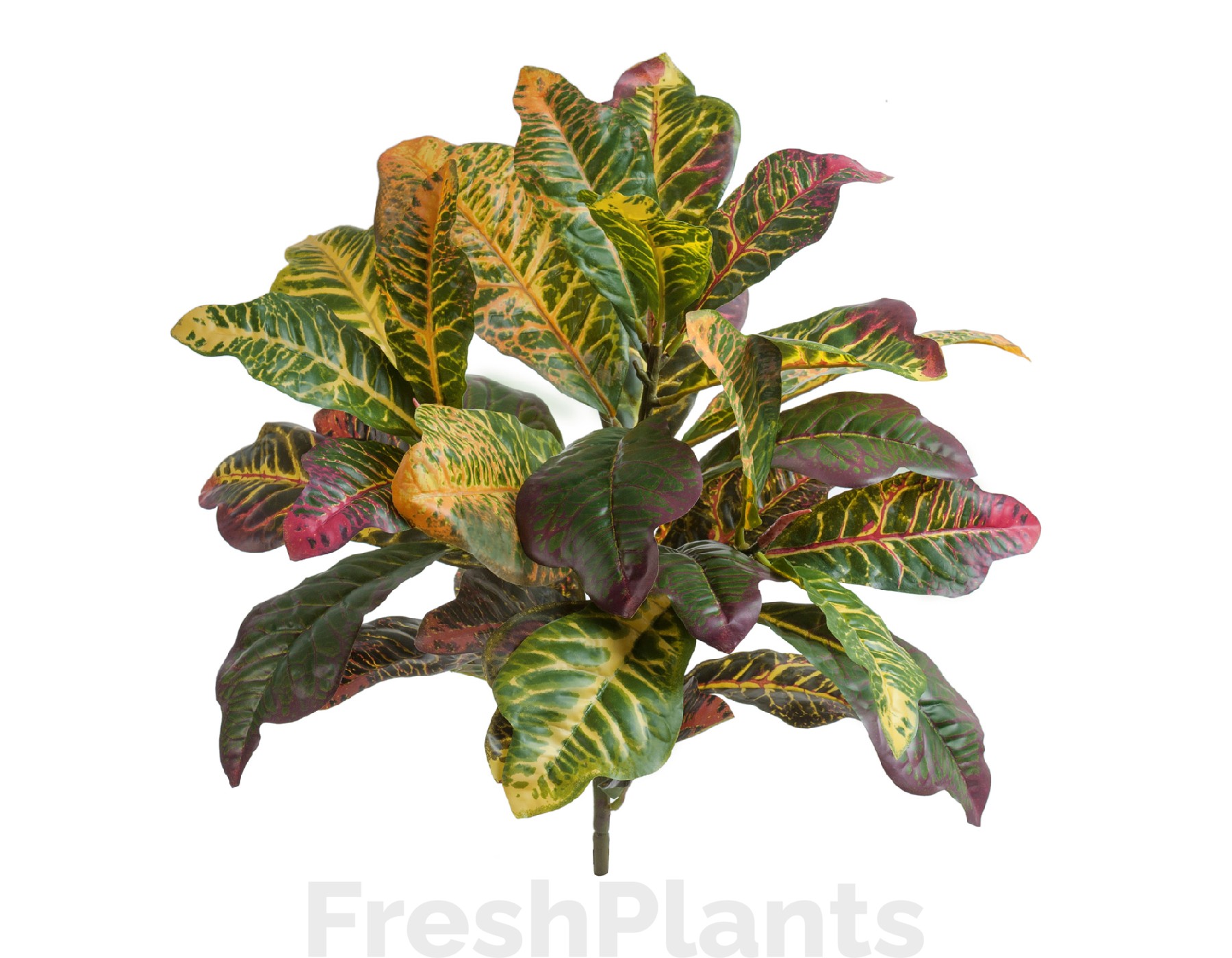 Кротон куст Мидл зелёно-жёлто-розовый (Sensitive Botanic) искусственный 20.1145GYP