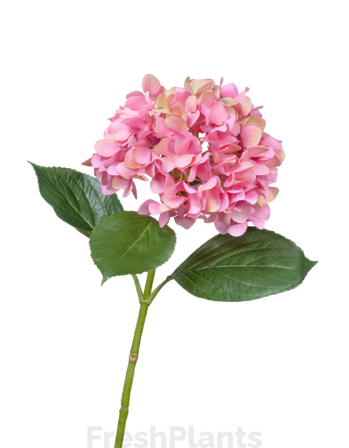 Гортензия Grande Fiore ярко-розовая искусственная 30.0613151PK
