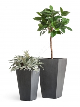 images/stories/virtuemart/product/treez/categories/treez-effectory-seriya-beton