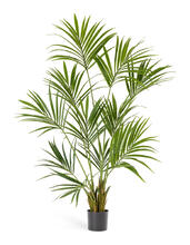 Пальма Кентия (Ховея) искусственная 10.1343N