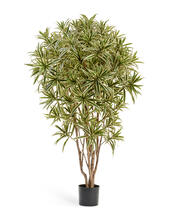 Драцена Рефлекса Ямайка Золотая 145 см искусственная 10.36905NG