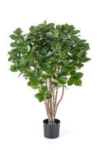 Клузия древовидная искусственная 10.51304N