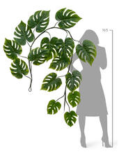 Монстера Giant лиана искусственная 20.092234N 1