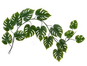 Монстера Giant лиана искусственная 20.092234N 2