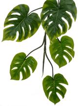 Монстера Giant лиана искусственная 20.092234N 5