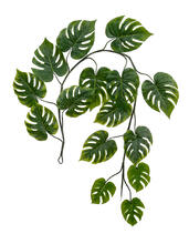 Монстера Giant лиана искусственная 20.092234N