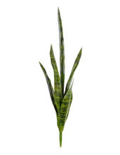 Сансевиерия куст (2 цвета) искусственная 20.1007N, 20.1007NG 1