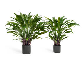 Калатея в горшке искусственная 20.1010N, 20.1010XL