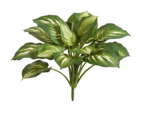 Хоста бело-зелёная большая искусственная 20.1150GW