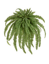 Папоротник Бостон Новый свисающий Мидл искусственный 20.1373N