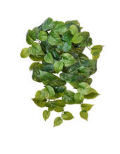 Филодендрон крупнолистный ампельный средний искусственный 20.1381M