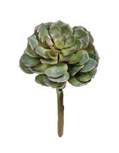 Суккулент Эхеверия зелёная искусственный 30.03070003/2