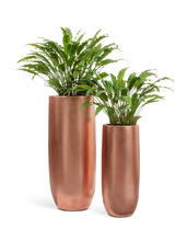 Кашпо TREEZ Effectory - Metal - Высокий округлый конус - Розовая медь 41.3317-04-014-RSG-72, 41.3317-04-014-RSG-95 4