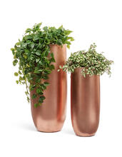 Кашпо TREEZ Effectory - Metal - Высокий округлый конус - Розовая медь 41.3317-04-014-RSG-72, 41.3317-04-014-RSG-95 5
