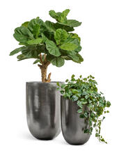 Кашпо TREEZ Effectory - Metal - Высокая конус-чаша - Стальное серебро 41.3317-04-015-DSL-67 4