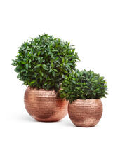 Кашпо TREEZ Effectory - Metal - Полусфера - Розовая медь Чеканка 41.3318-04-017-RS/C-40, 41.3318-04-017-RS/C-60 5
