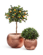 Кашпо TREEZ Effectory - Metal - Полусфера - Розовая медь Чеканка 41.3318-04-017-RS/C-40, 41.3318-04-017-RS/C-60 6