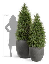 Кашпо TREEZ Effectory - Stone - Большой округлый конус - Тёмно-серый камень 41.3319-01-026-GR-54, 41.3319-01-026-GR-70, 41.3319-01-026-GR-90 4