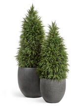 Кашпо TREEZ Effectory - Stone - Большой округлый конус - Тёмно-серый камень 41.3319-01-026-GR-54, 41.3319-01-026-GR-70, 41.3319-01-026-GR-90 5