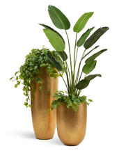 Кашпо TREEZ Effectory - Metal - Высокий конус Giant - Сусальное золото 41.3319-04-021-GLD-120 3
