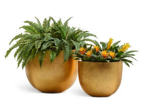 Кашпо TREEZ Effectory - Metal - Низкая конус-чаша - Сусальное золото 41.3319-04-027-GLD-46, 41.3319-04-027-GLD-60 3