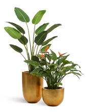 Кашпо TREEZ Effectory - Metal - Низкая конус-чаша - Сусальное золото 41.3319-04-027-GLD-46, 41.3319-04-027-GLD-60 4