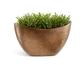 Кашпо TREEZ Effectory - Metal - Ваза-Лодка малая - Тёмное-матовое золото 41.3321-04-054-BRS-20/37 1