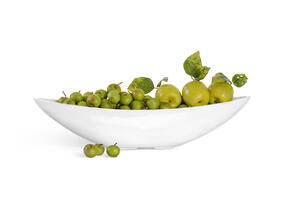 Кашпо TREEZ Effectory - Gloss - Ваза-Лодка (2 размера) - Белый глянцевый лак 41.3321-05-055-WH-15/65, 41.3321-05-053-WH-20/90 6